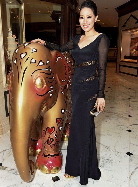 大象巡游圆满结束  Shine Bright拍卖所得捐助协康会图片3